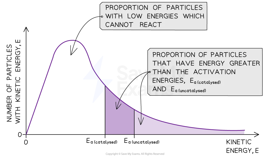 The activation energy of a catalysed reaction shown on a Maxwell-Boltzmann curve is less than the uncatalysed reaction