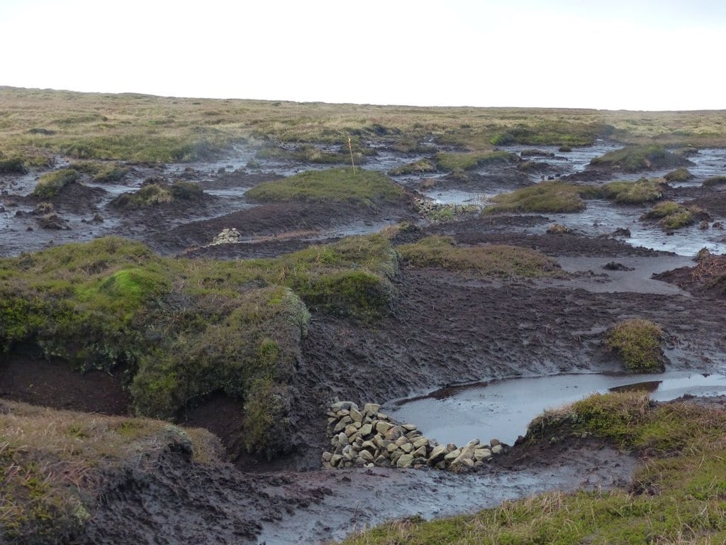 peat-bog-restoration