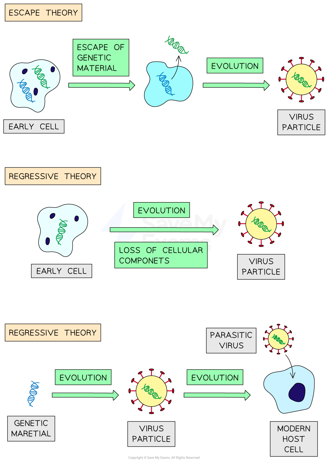 theories-virus-origin-diagram