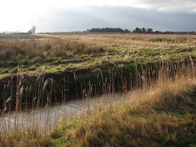 wetland-drainage-photo