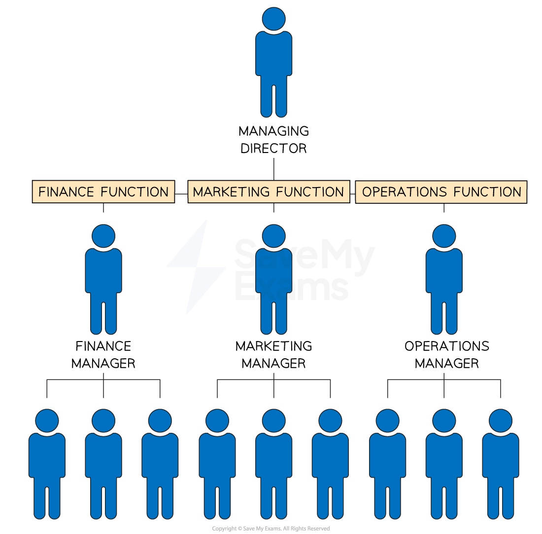 Business organisation by function breaks a business structure up into its core functions such as finance, marketing, human resources etc.