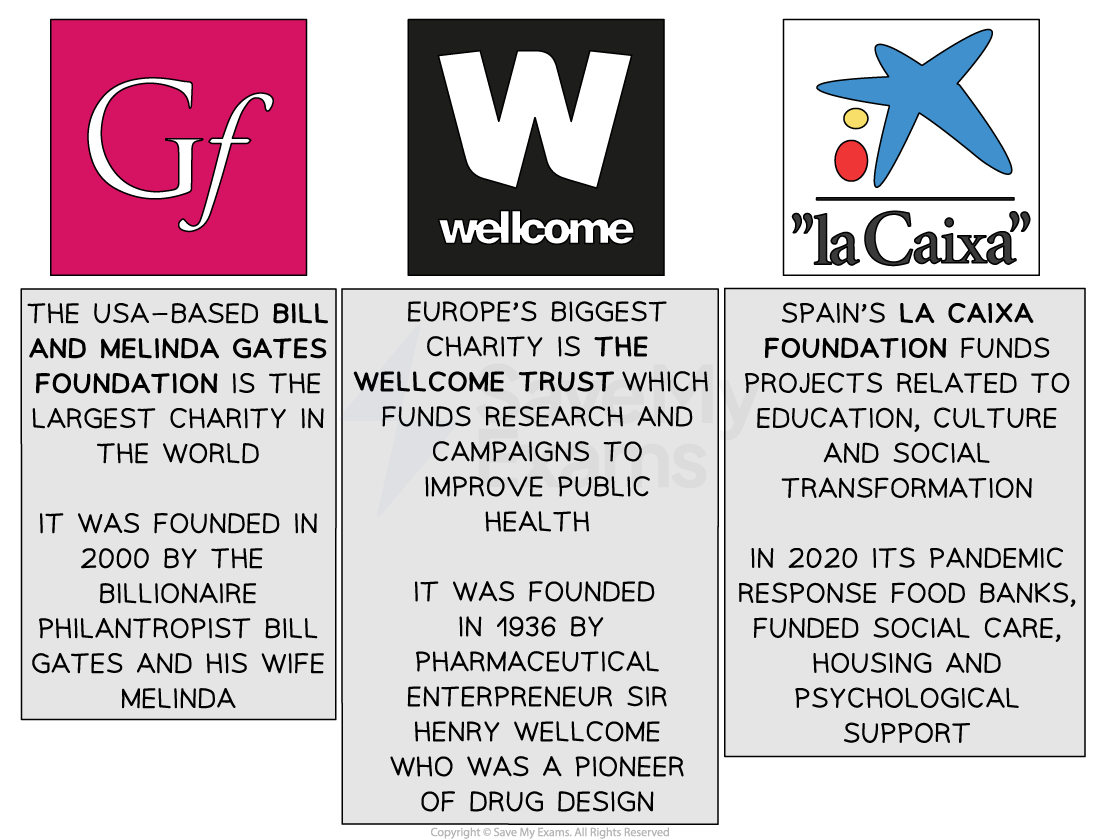 Examples of non profit charities include the Bill and Melinda Gates Foundation, The Wellcome Trust, and Spain's La Caixa Foundation