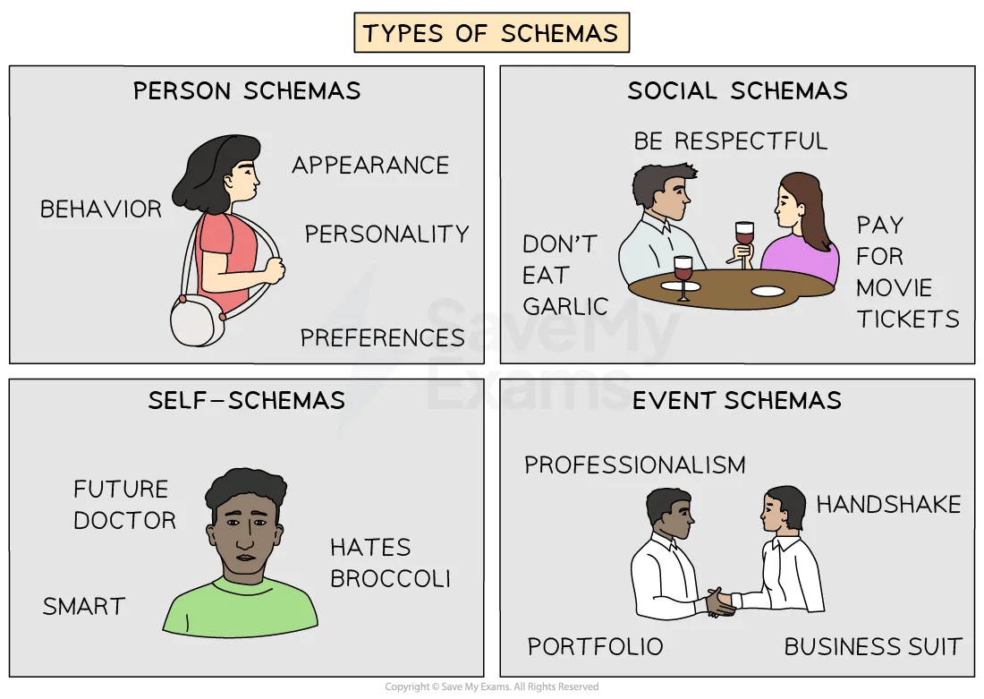 schema-theory-01-for-ib-psychology