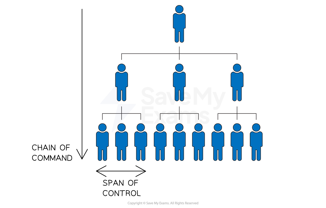 the-chain-of-command-and-span-of-control-ibdp-business-management