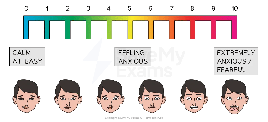 27-two-key-studies-of-prevalence-rates-02-for IB Psychology