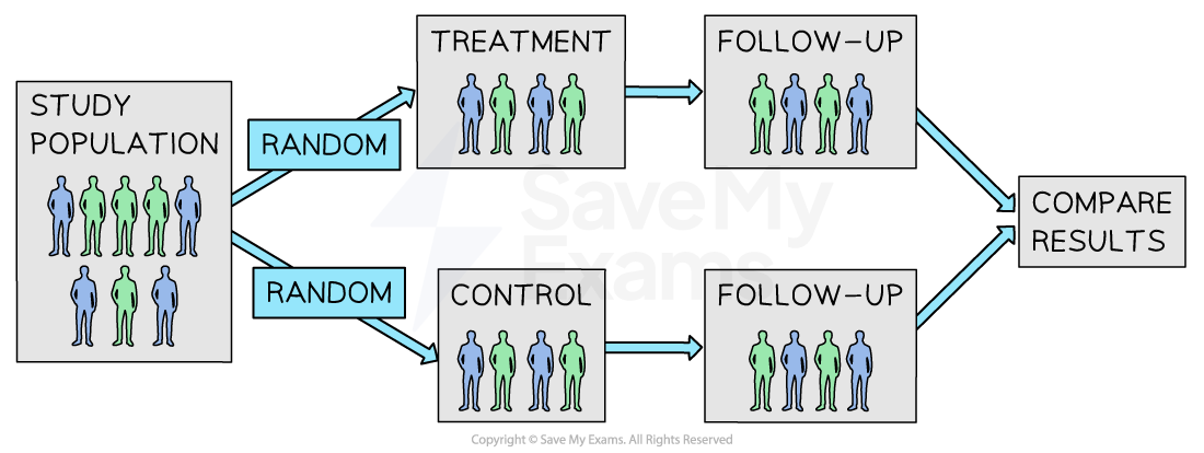 30-two-key-studies-of-biological-treatments-of-major-depressive-disorder-and-phobias for IB Psychology