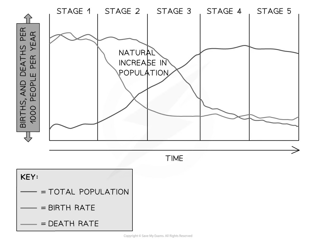 demographic-transition