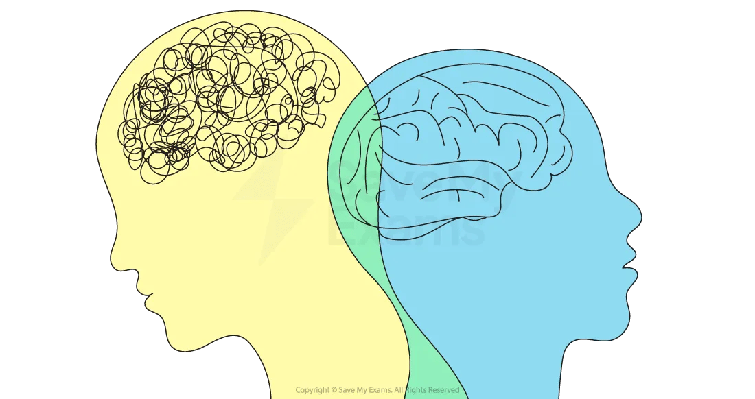 Diagram of mental health concerns are a growing issue for young people today for IB Psychology