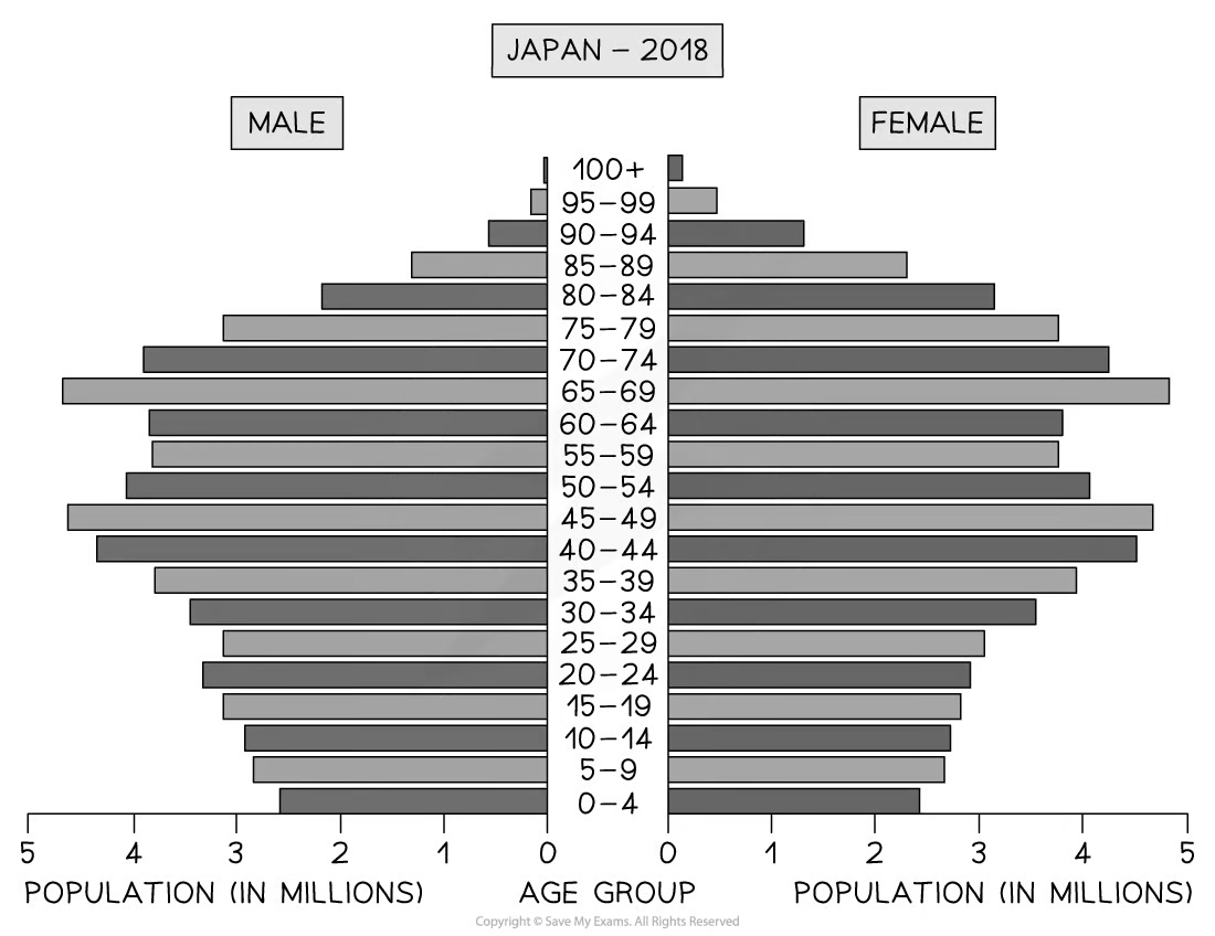 population-pyramid---japan