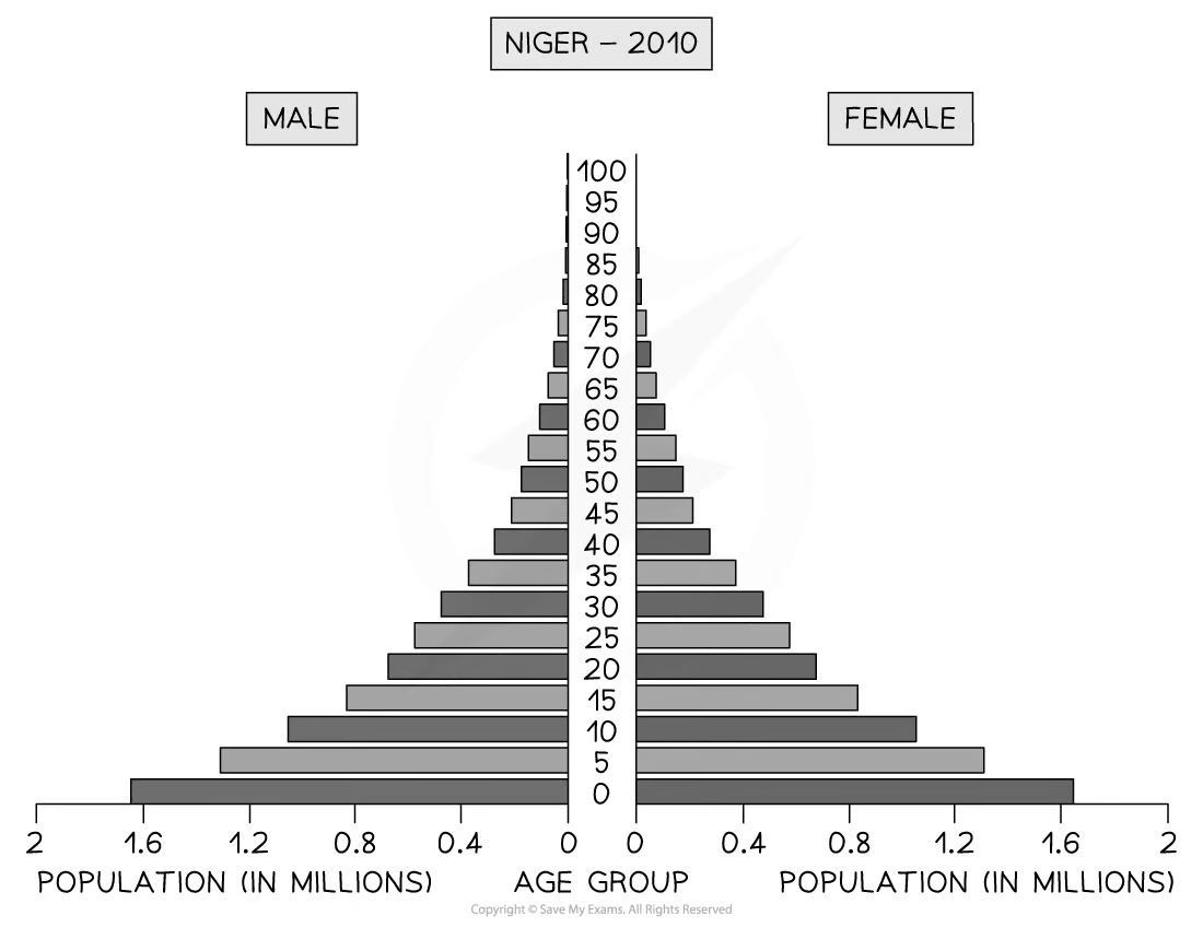 population-pyramid-niger