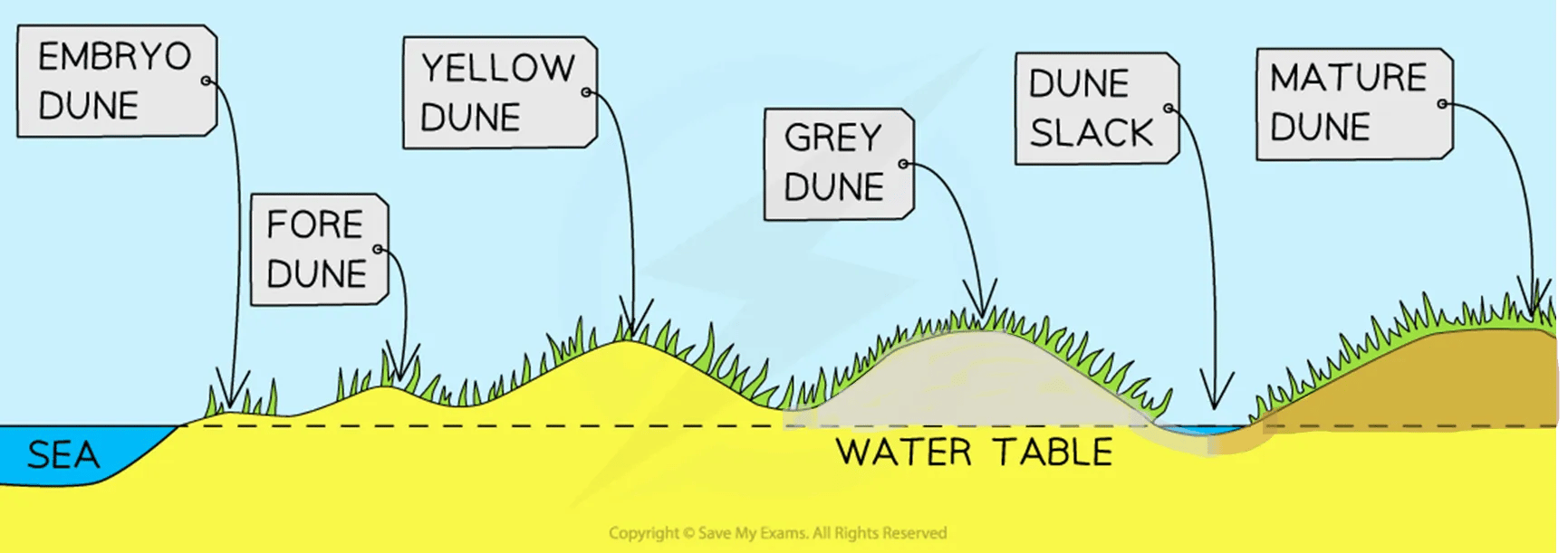 Diagram of a dune formation for IB SL Geography