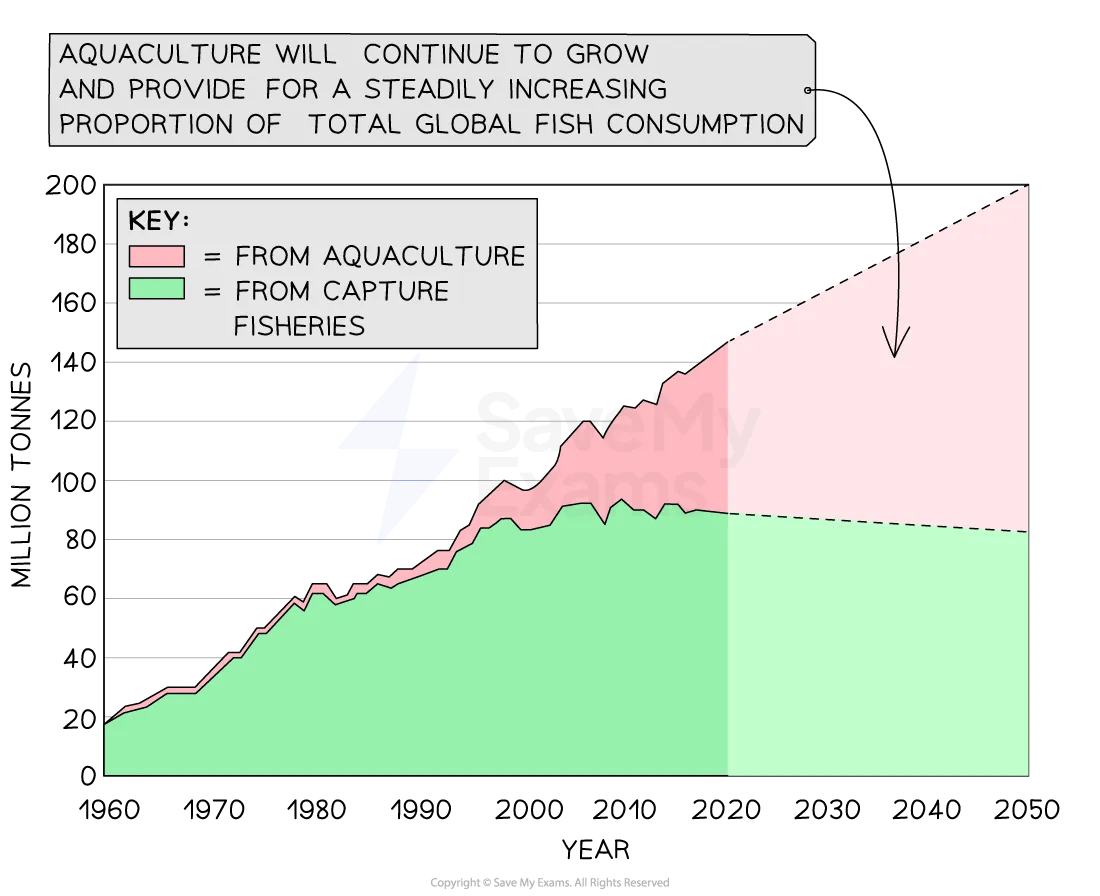 Diagram of growth of aquaculture for IB SL Geography