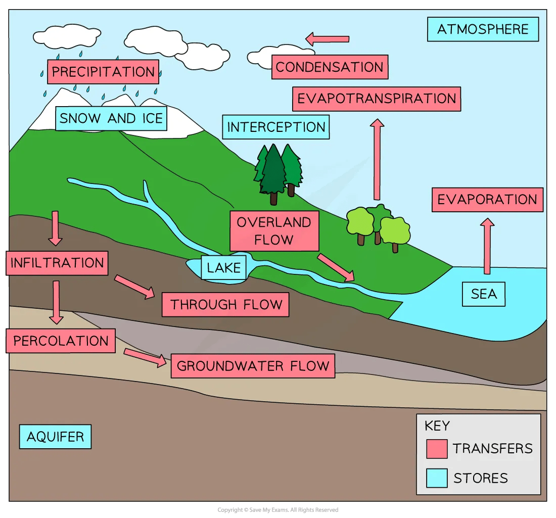 Diagram of the hydrological cycle for IB SL Geography