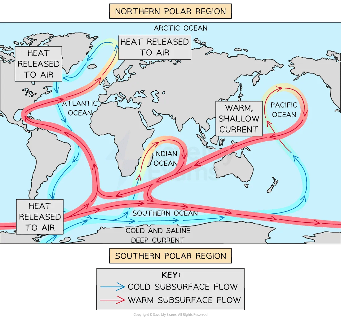 Diagram of thermohaline circulation for IB Geography