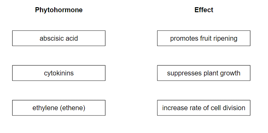 phytohormone-join-boxes