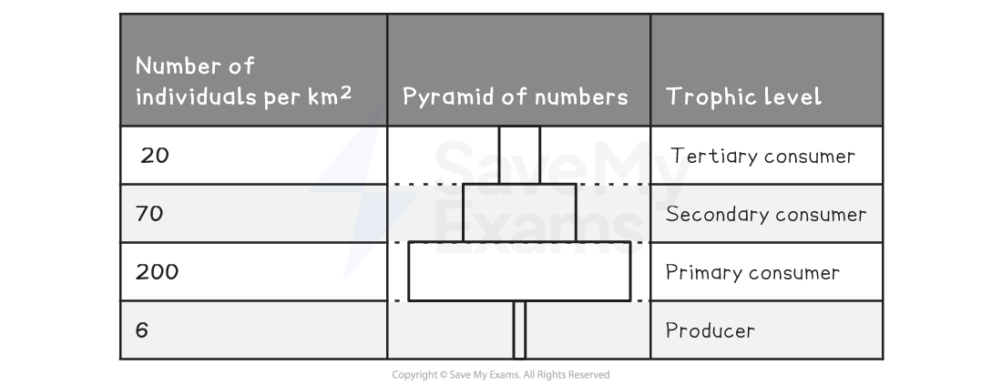 pyramid-of-numbers