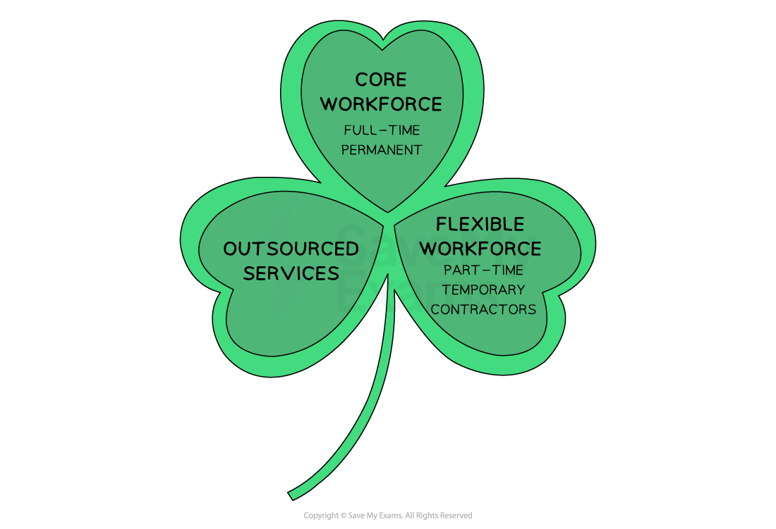 ibdp-business-management-shamrock-organisational-structure