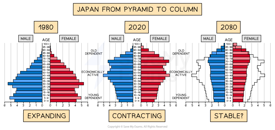 japan-pop-pyramid