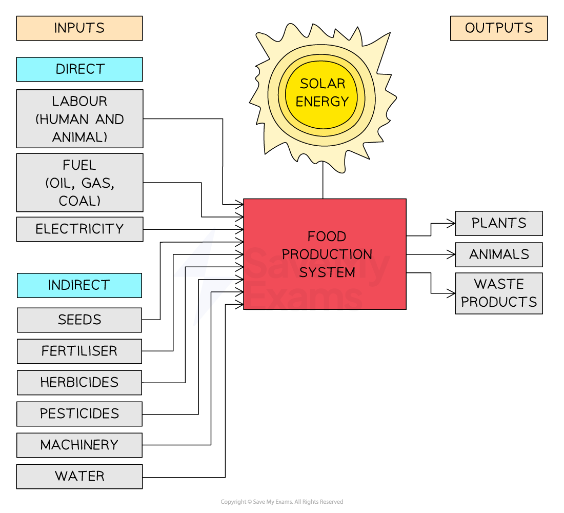 energy-inputs-and-outputs-in-food-production