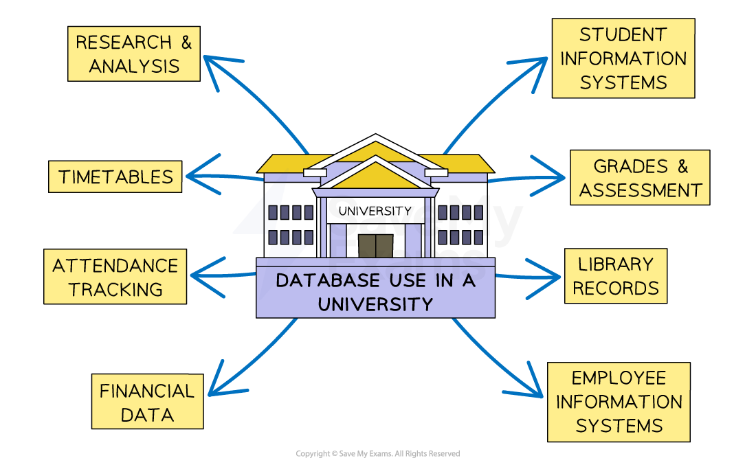 Universities use database systems for many reasons, including student and employee information systems, library management and attendance tracking