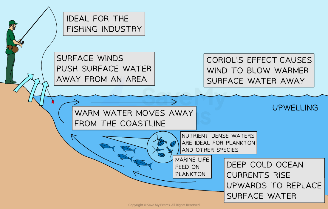 ocean-current-cross-section