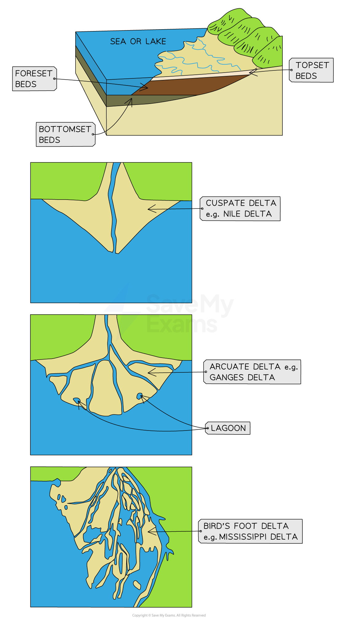 types-of-delta