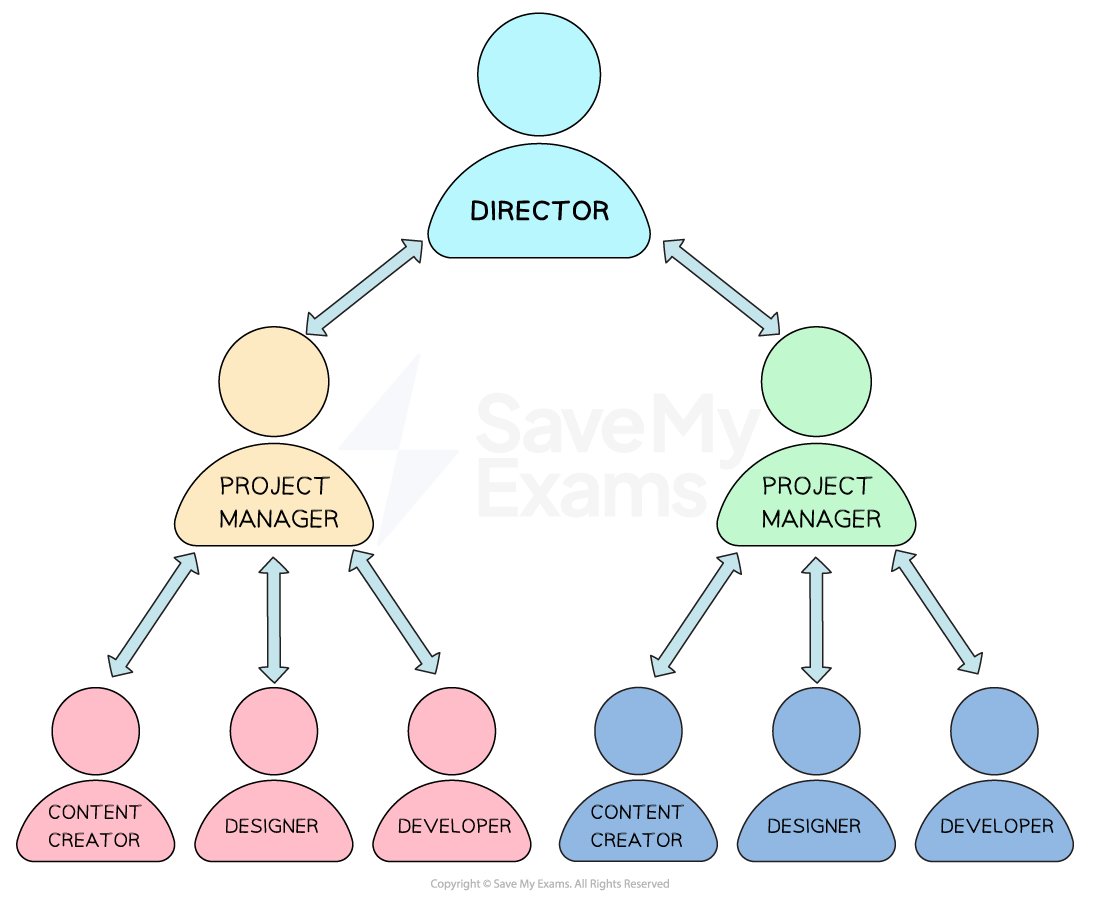 2-2-project-based-organisation-chart-ib-hl-business-rn