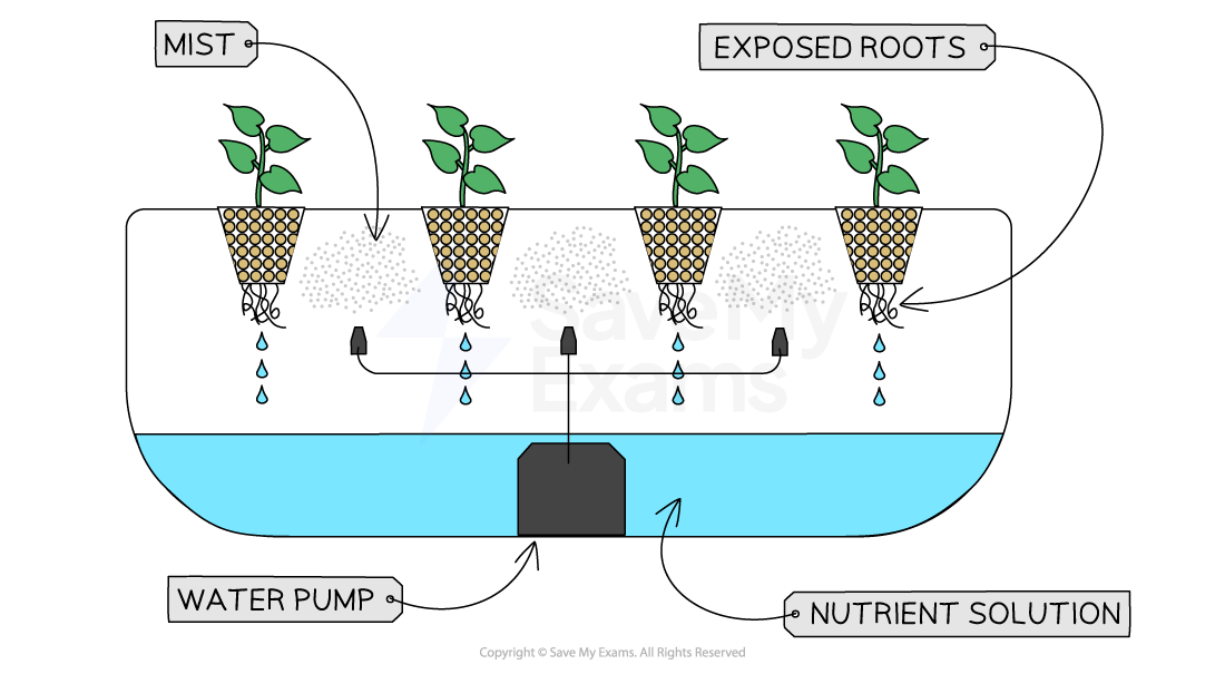 aeroponic-system