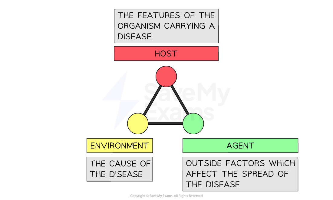 epidemiological-triangle