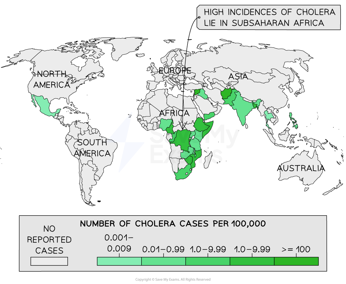 global-cholera-cases