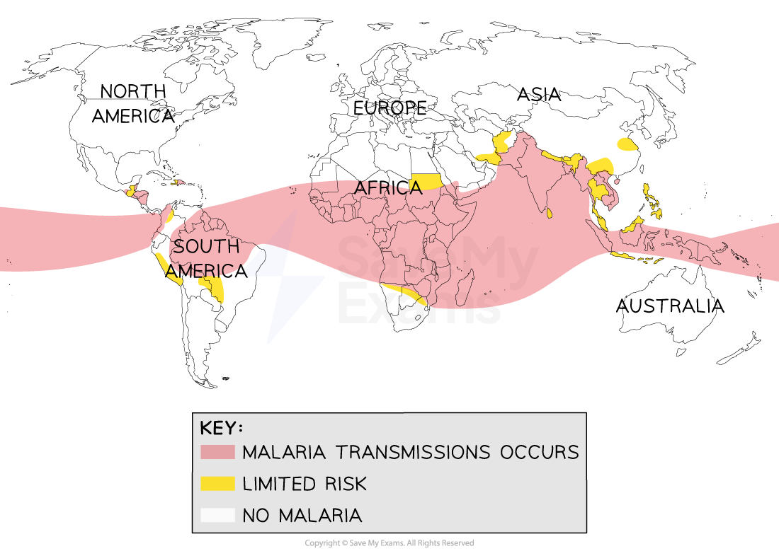 global-malaria