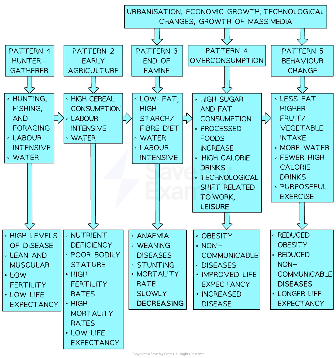 the-nutrition-transition