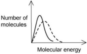 ibhl-6-1m-q3-option-a