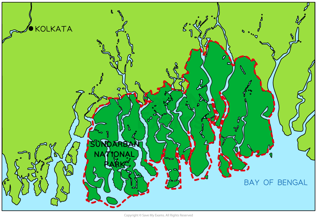 sundarban-national-park