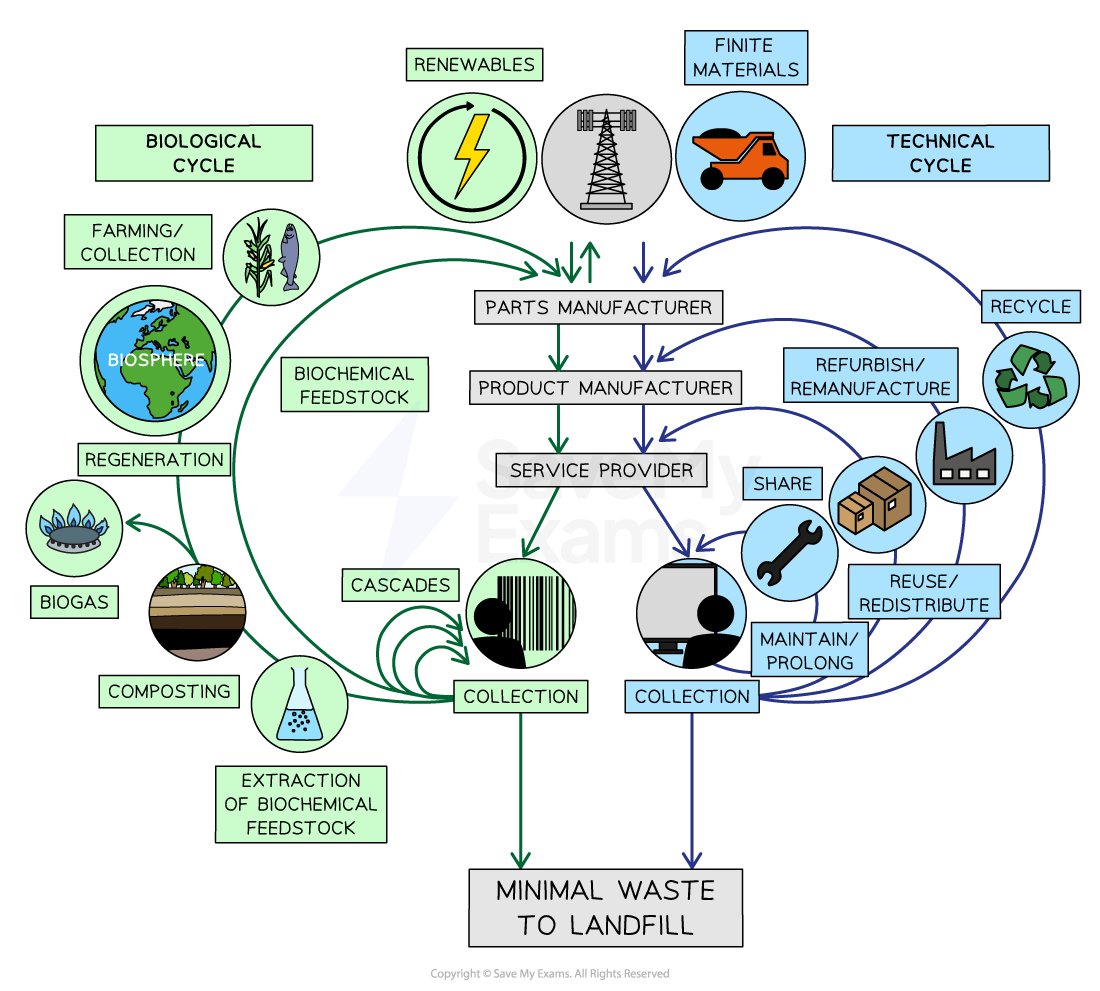 the-circular-economy