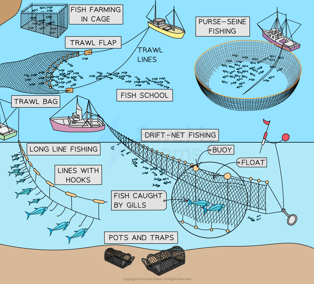 types-of-fishing