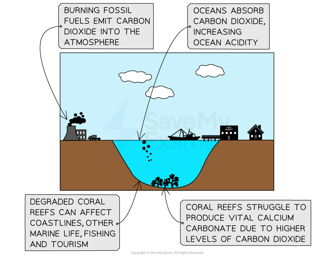 ocean-acidification