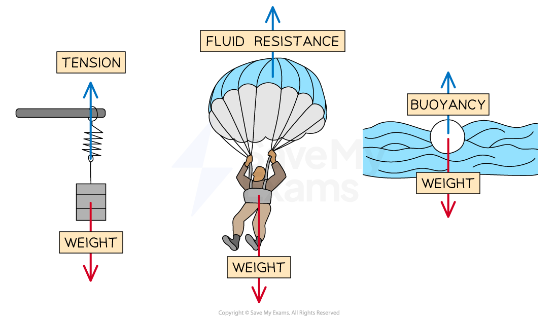 forces-in-action-examples