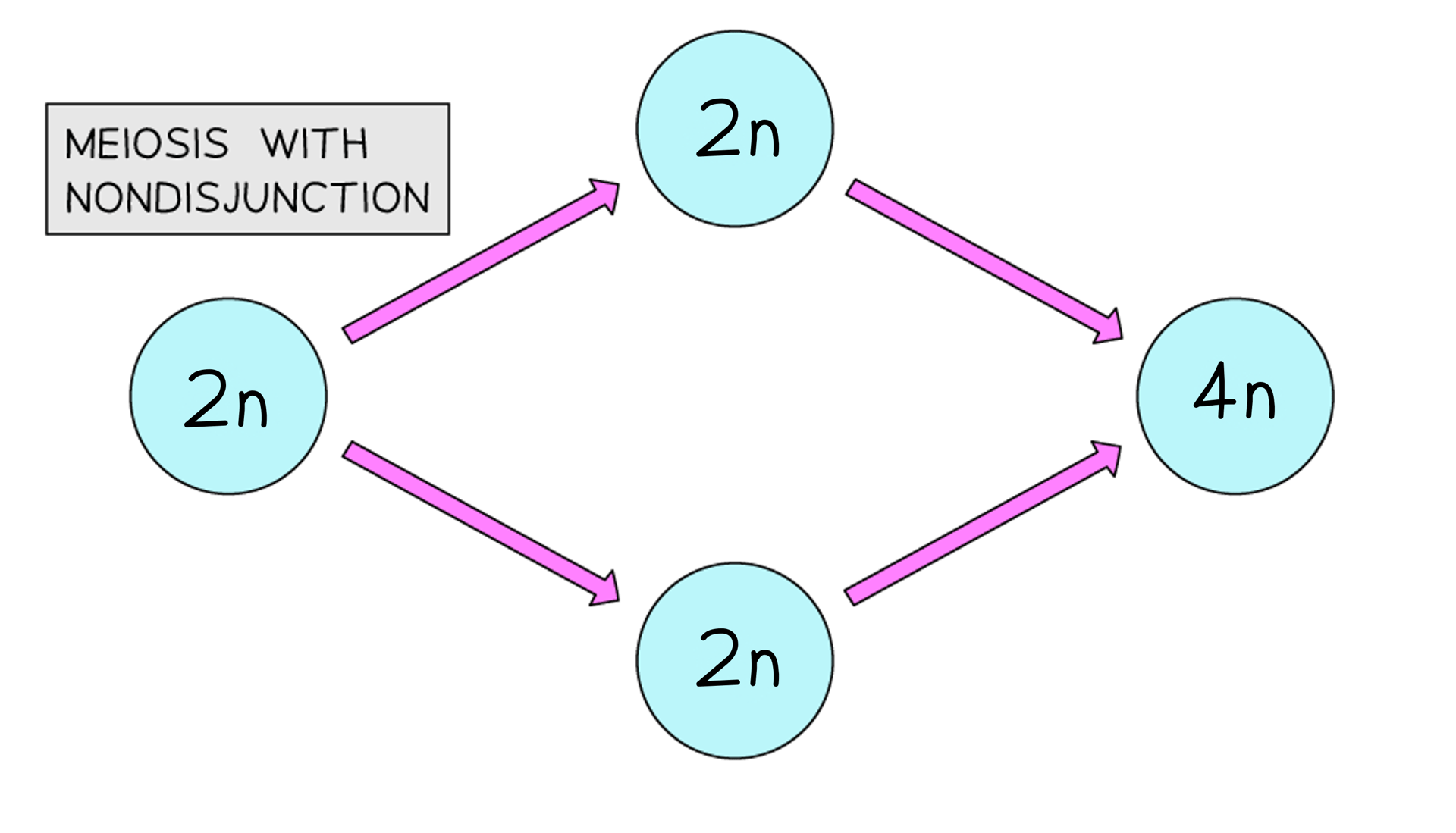 autopolyploidy