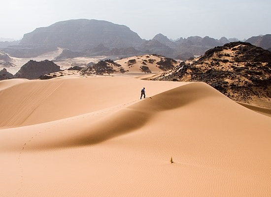 desert-habitat-sahara